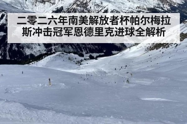 二零二六年南美解放者杯帕尔梅拉斯冲击冠军恩德里克进球全解析